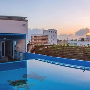Alloggio in famiglia Casa Barco Boutique, Isla Mujeres
